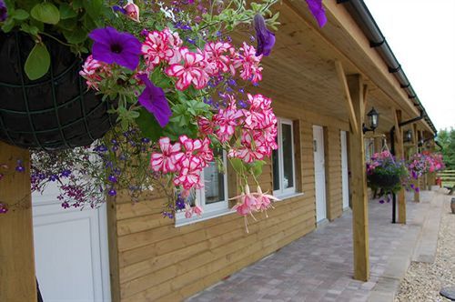 Hotel The Flying Fish Stables Ilminster Exterior foto